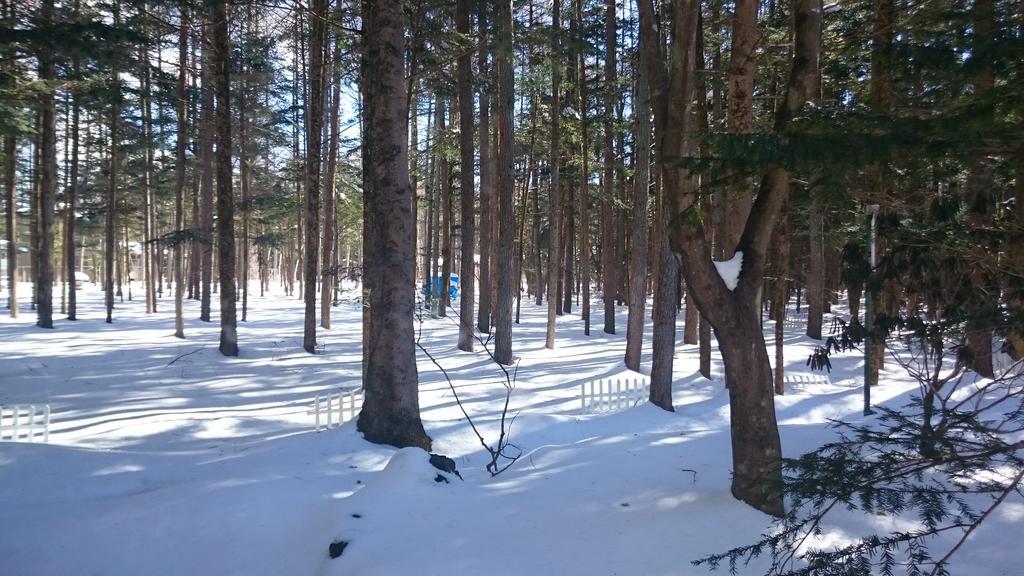 Pension Candytuft Karuizawa Exteriér fotografie