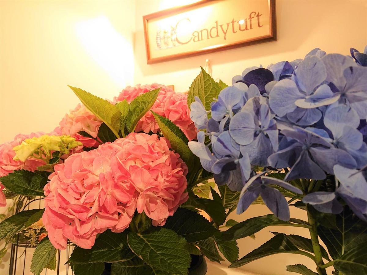 Pension Candytuft Karuizawa Exteriér fotografie
