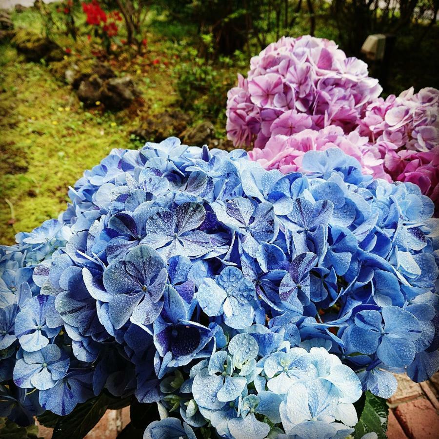 Pension Candytuft Karuizawa Exteriér fotografie